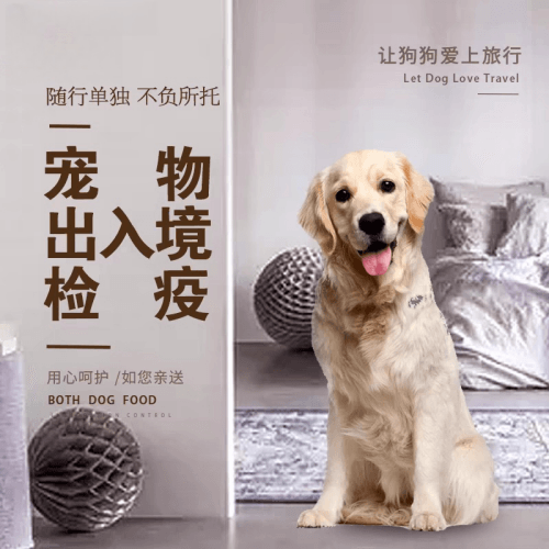 浦东新区宠物托运到哥伦比亚猫狗宠物入境规定和