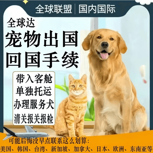 浦东新区宠物托运到柬埔寨宠物入境规定和要求