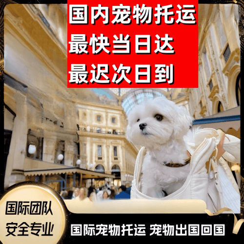 浦东新区到澳大利亚（澳洲）宠物入境规定和要求